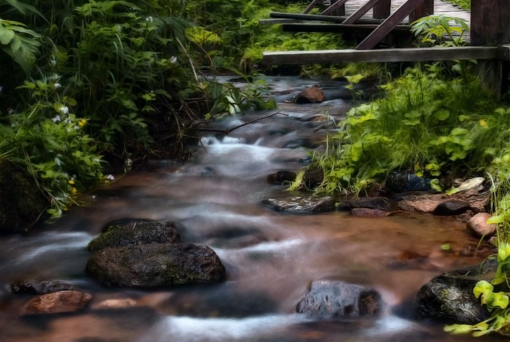 Ручей Моховой