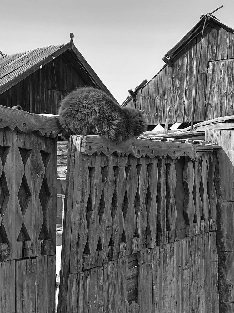 Photograph by Руслан Шиляев