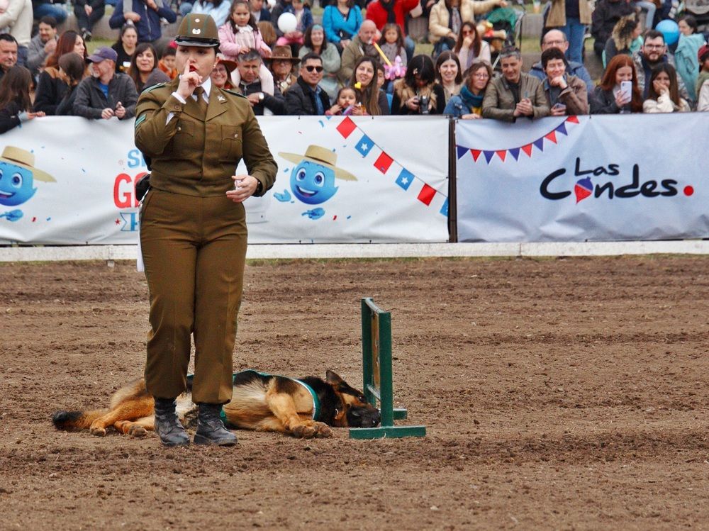 Photograph by Paula Torrent