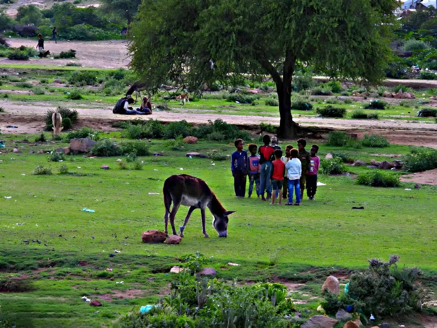 The Innocence of Rural Life