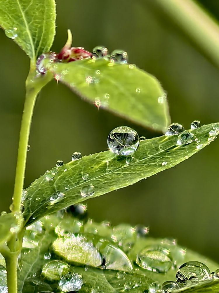 Photograph by Елена Охапкина