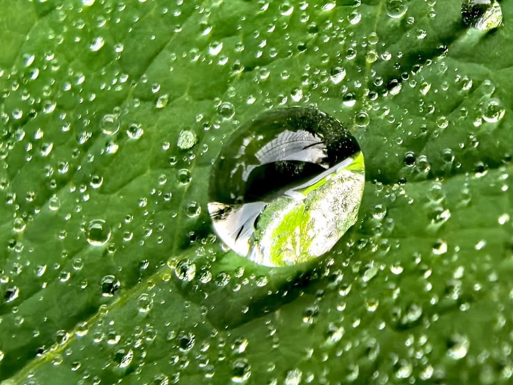 Photograph by Елена Охапкина