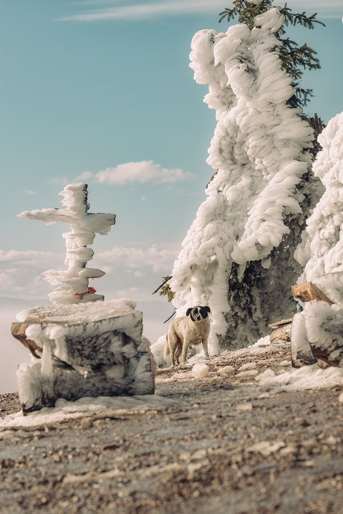 Фотография автора Мария
