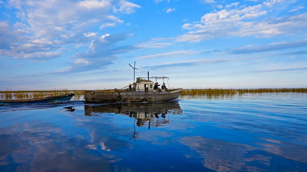 \"В дельте реки Или\".