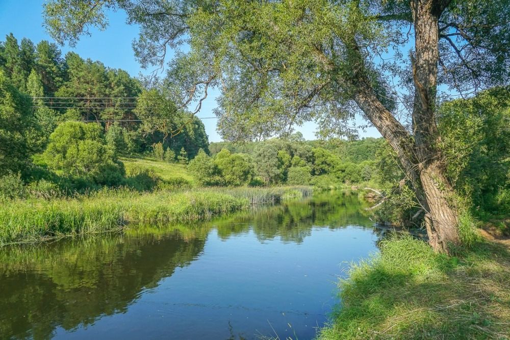 Река Протва