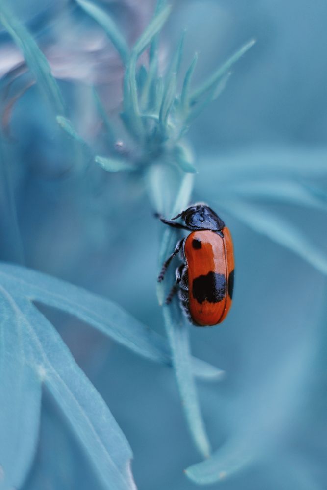 Photograph by Воинкова Ирина