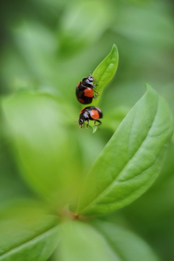 Photograph by Воинкова Ирина