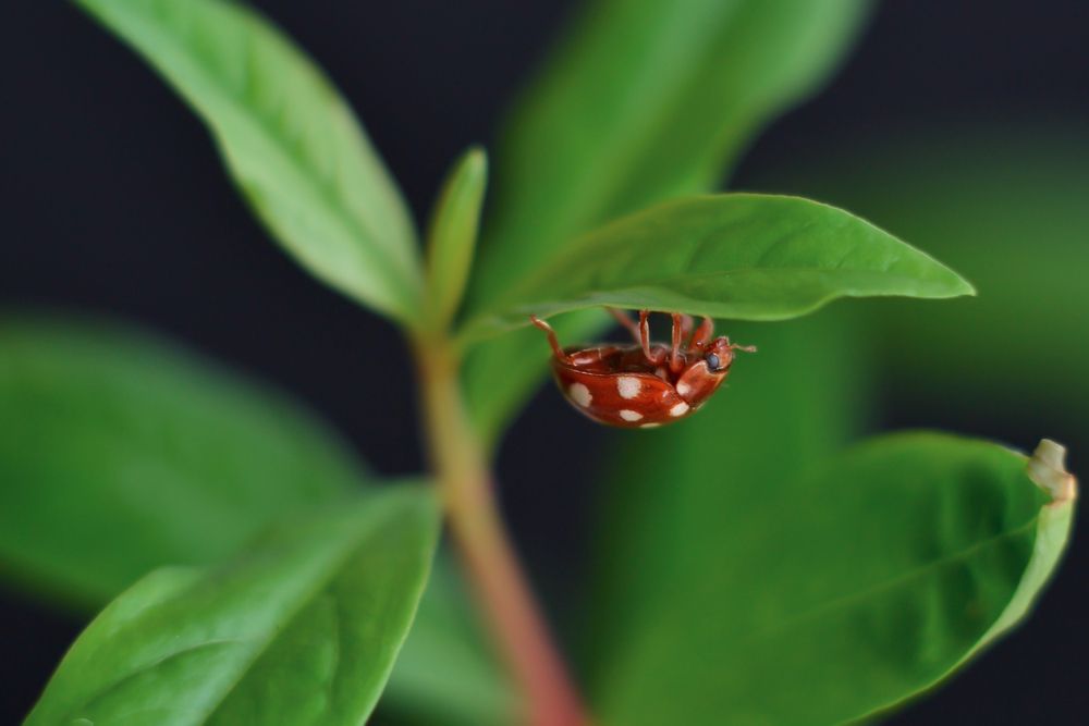 Photograph by Воинкова Ирина