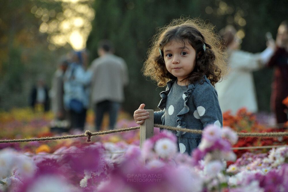 Photograph by Farid Ataei