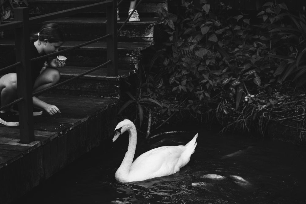 Photograph by Ирина