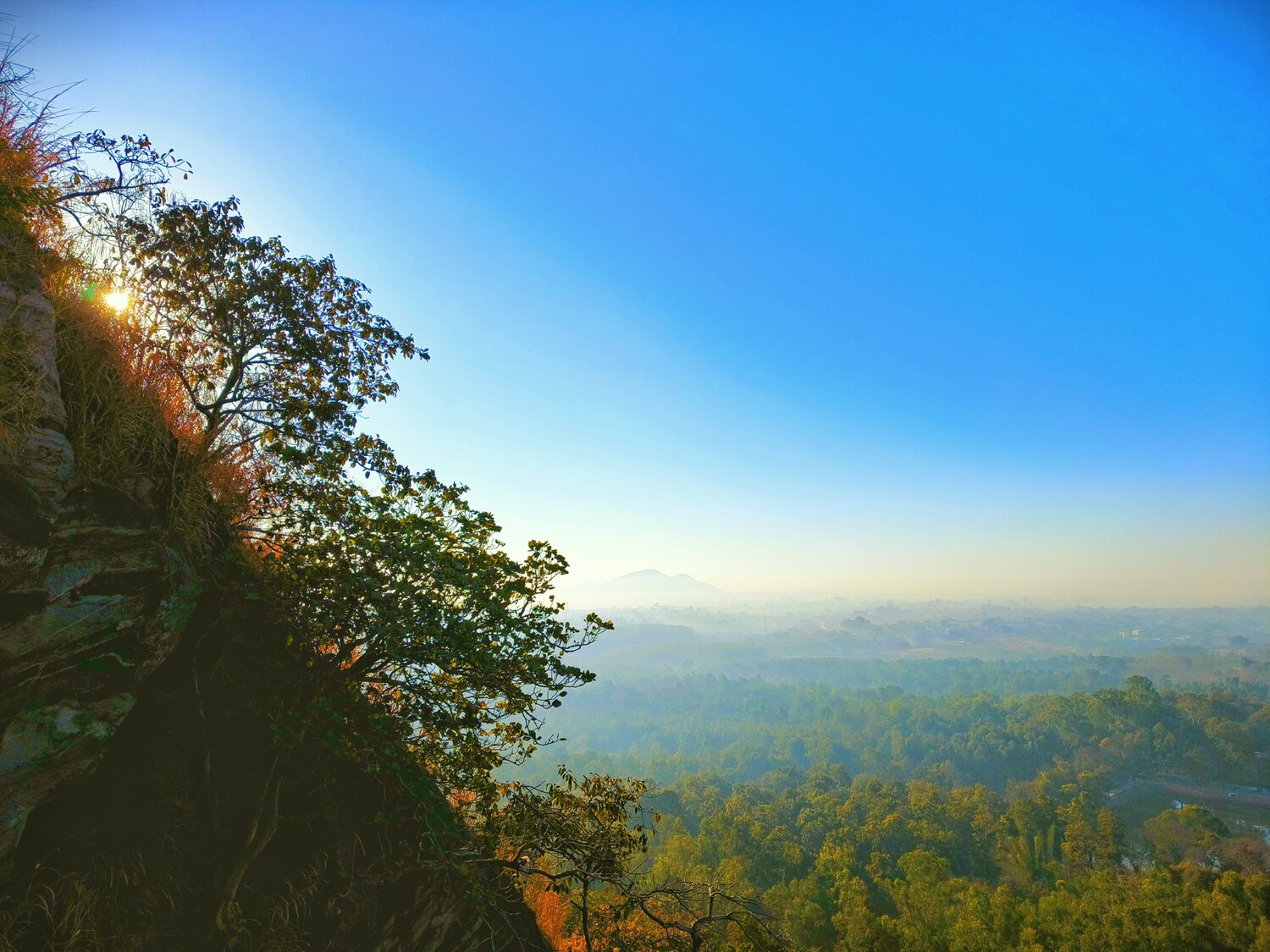 Photo #13305206