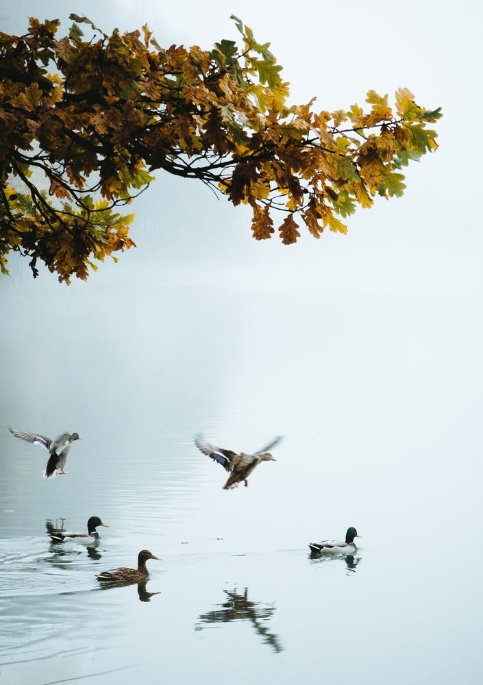 Photograph by Илья Цымбал