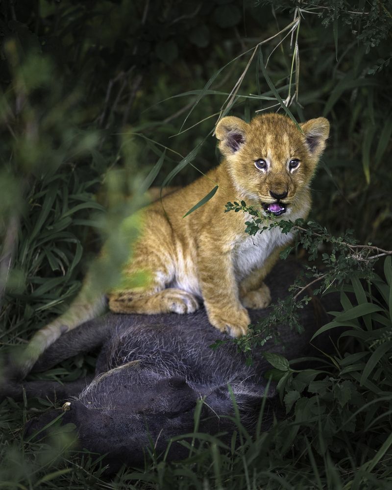 Photograph by madhur nangia