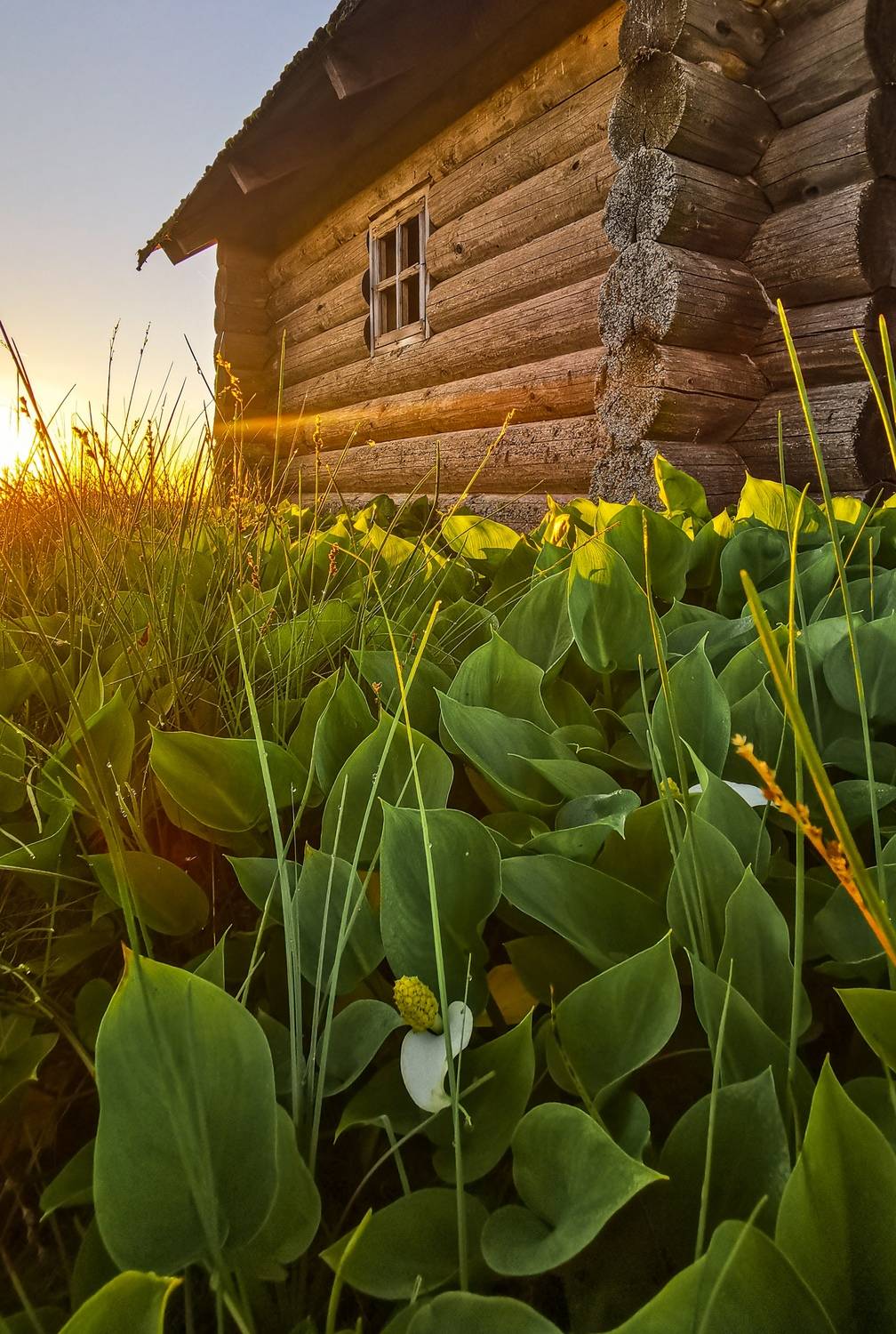 Фотография #13305286