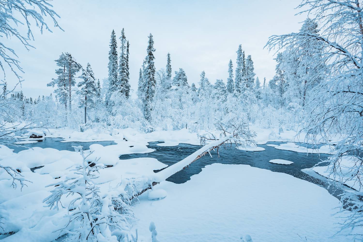 Фотография #13305287