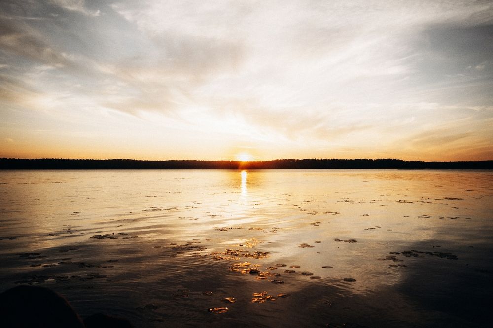 Photograph by Дмитрий Кравчук