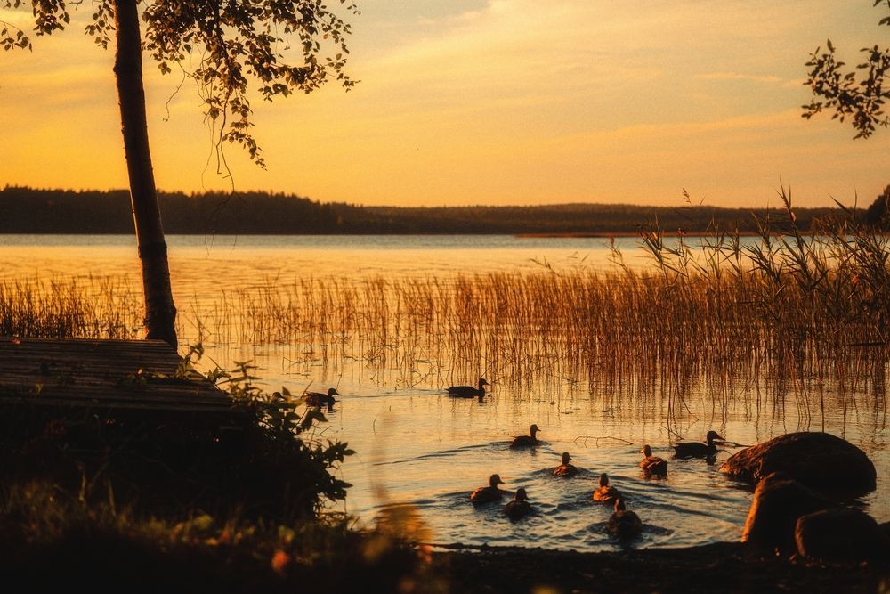 Photograph by Дмитрий Кравчук