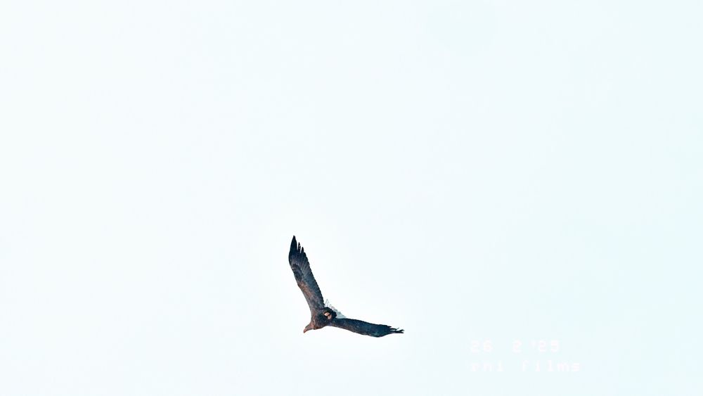 Photograph by Дмитрий Кравчук