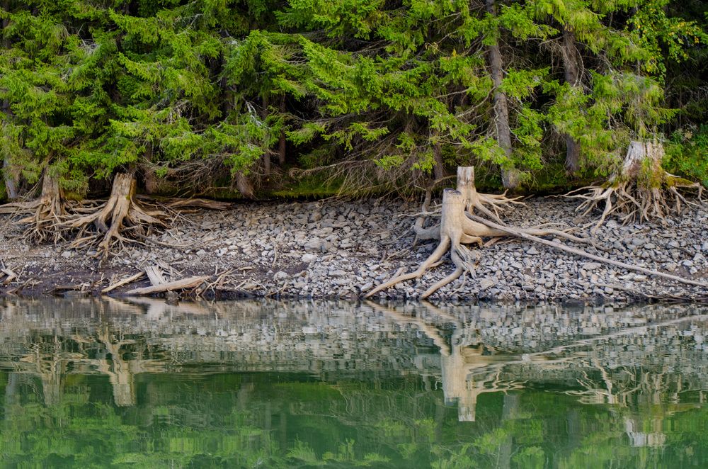 Photograph by Светлана Кудянова