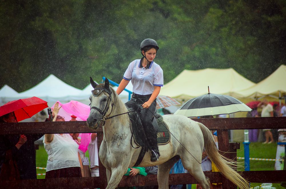 Photo #13305424