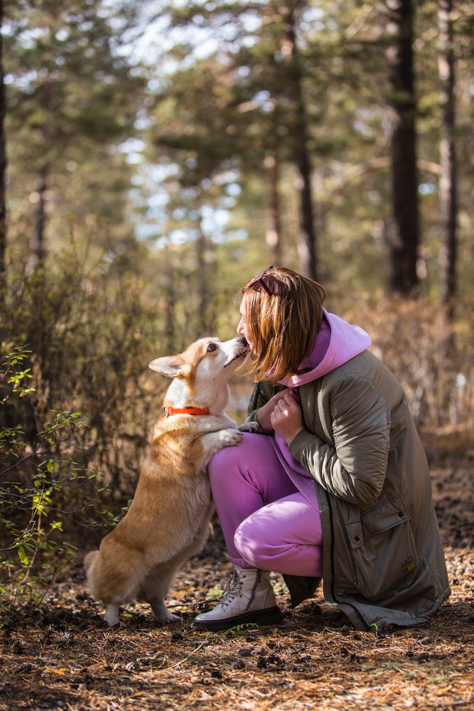 Photograph by Михаил Панфилов