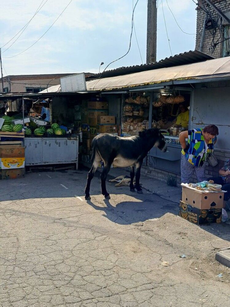 Photograph by Татьяна Пальчикова