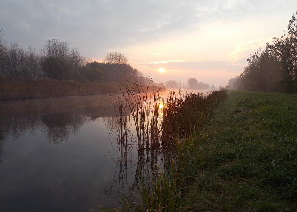 Photograph by Любовь Войводич