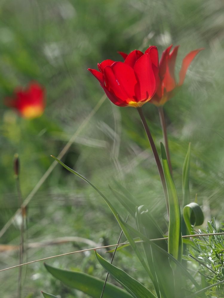 Photograph by Поляков Алексей