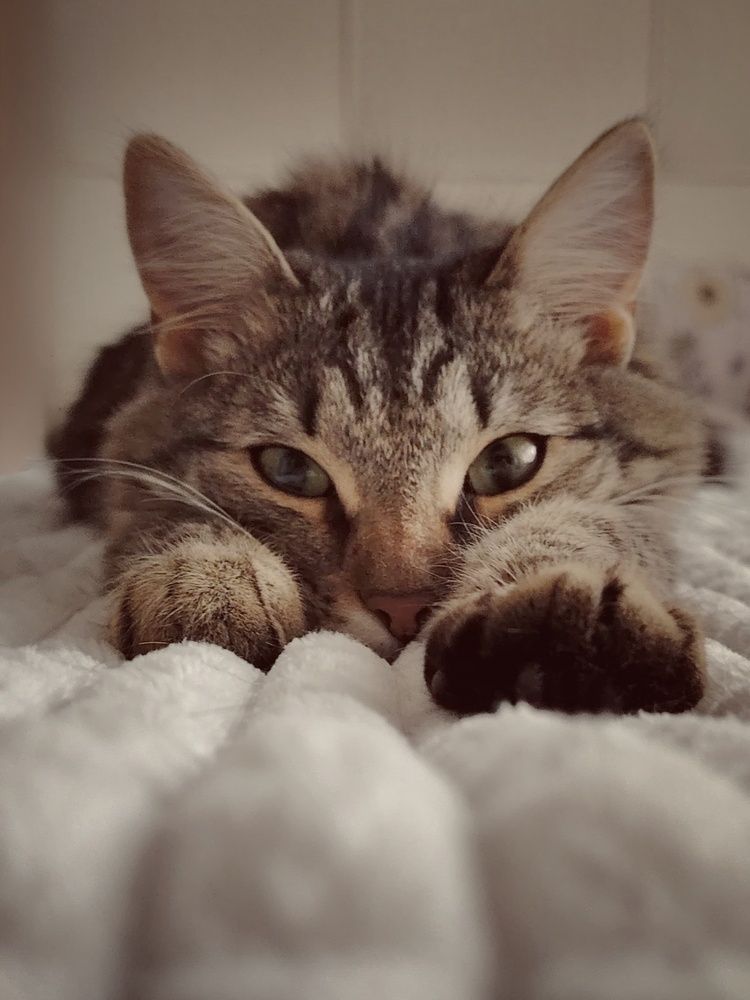 Photograph by Lyudmila Lebedeva