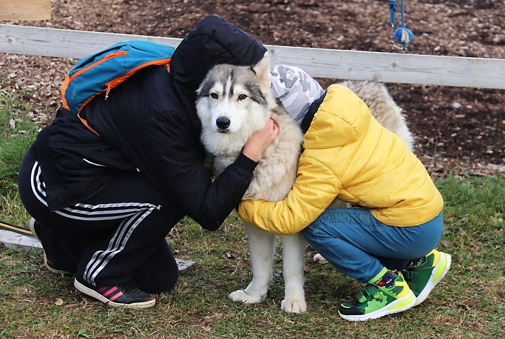 Photograph by Александр Лазебник