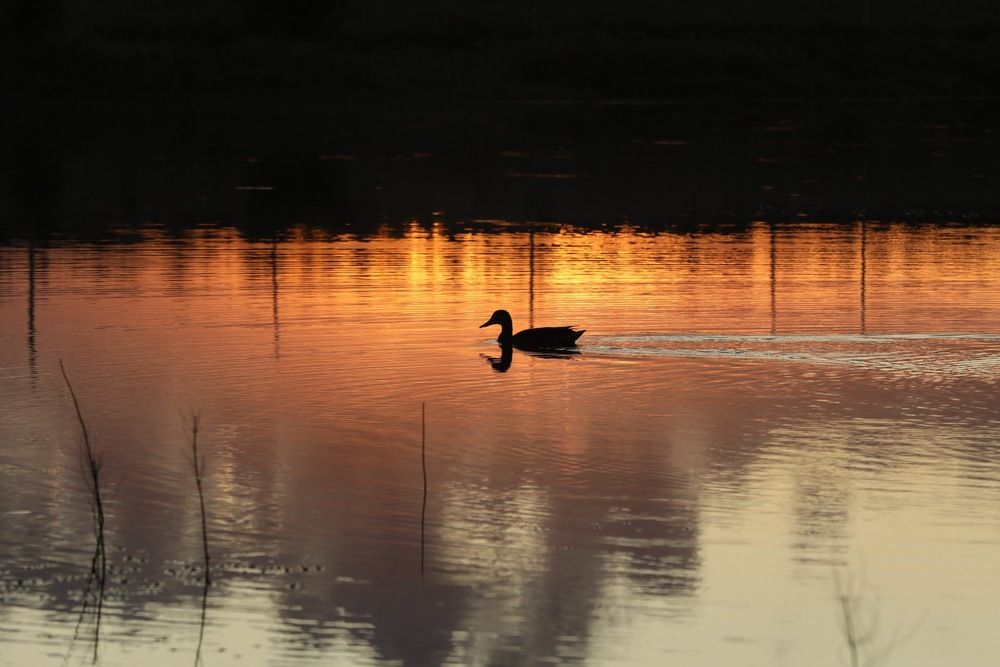 Photograph by Анна Корнейко