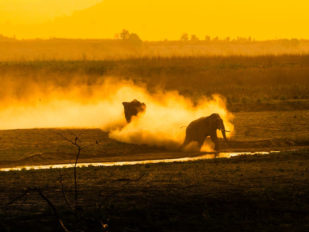 Photograph by ANEESH BHASKARAN