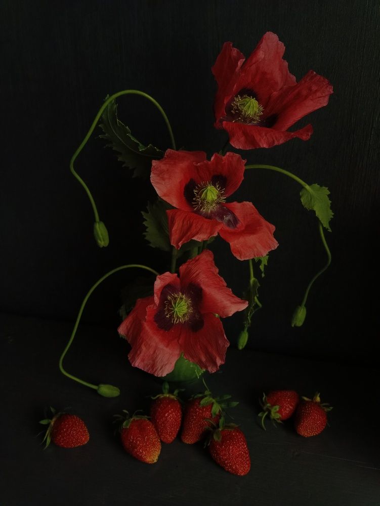 Photo #13305710