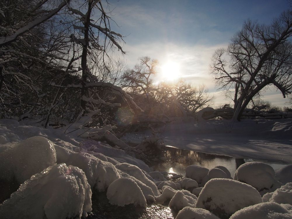 Photograph by Поляков Алексей