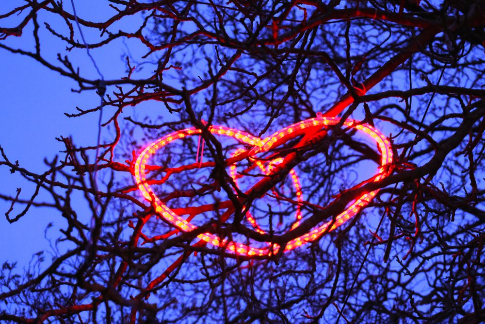 Photograph by Marija Krumes