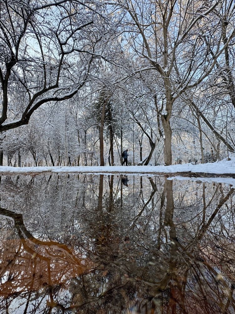 Photograph by Юлия Голубкова