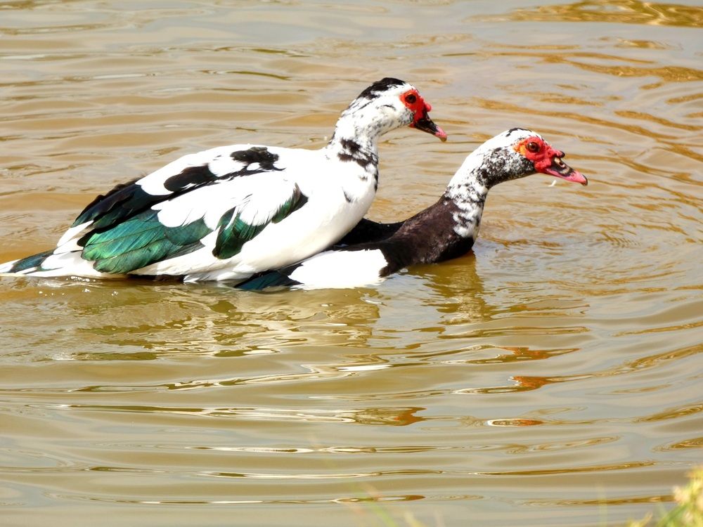 Photograph by Марина