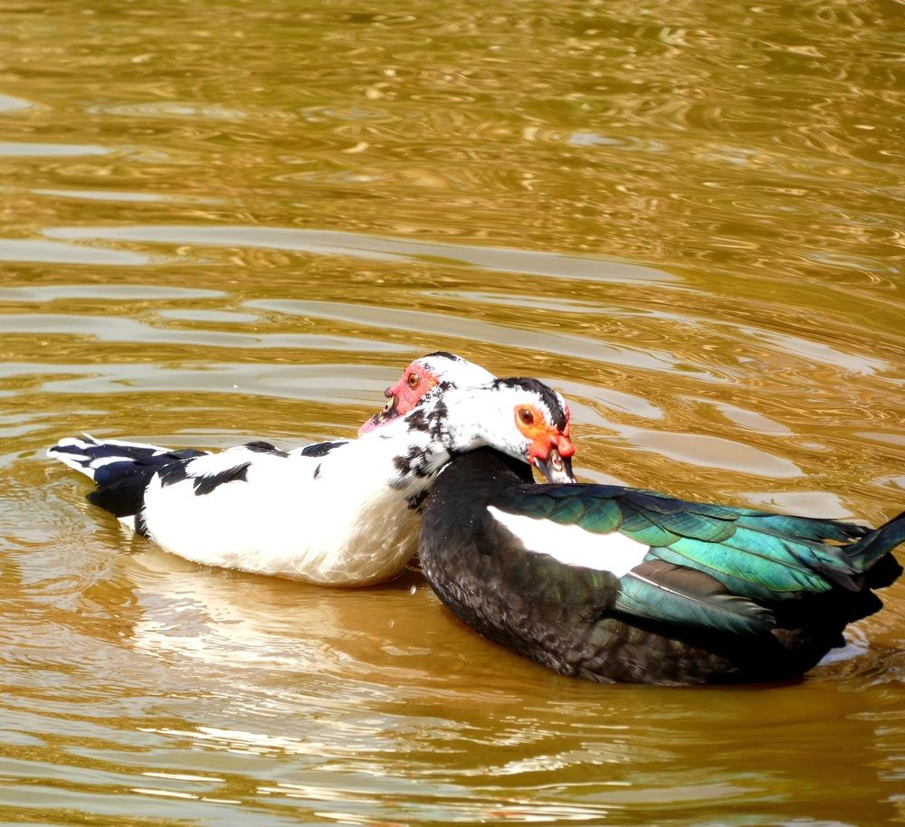 Photograph by Марина