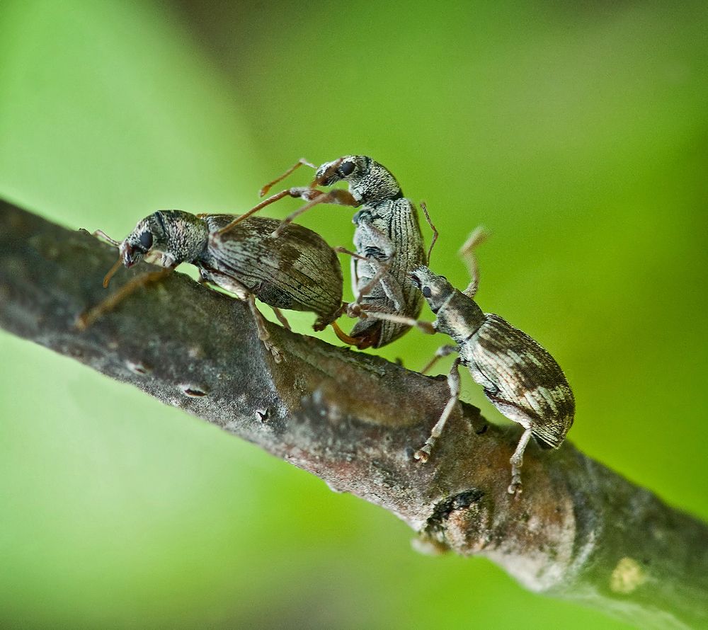 Photograph by Борис Булгаков