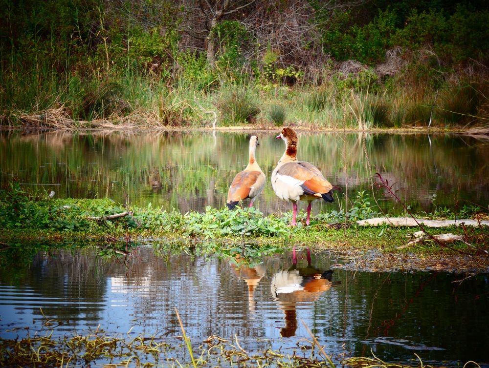 Photograph by Марина