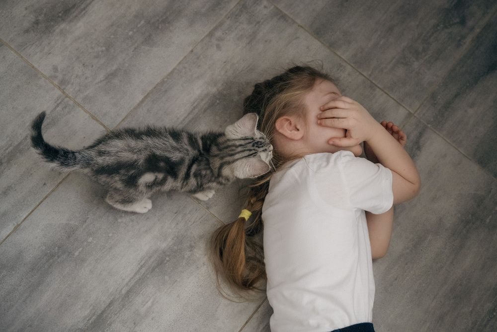 Photograph by Елена Март