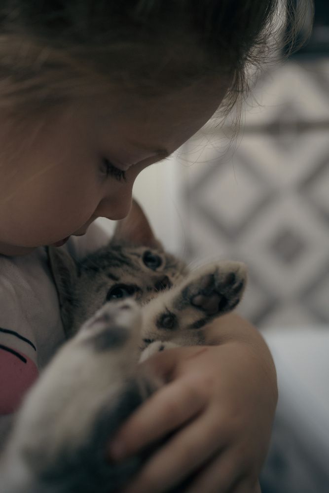 Photograph by Елена Март