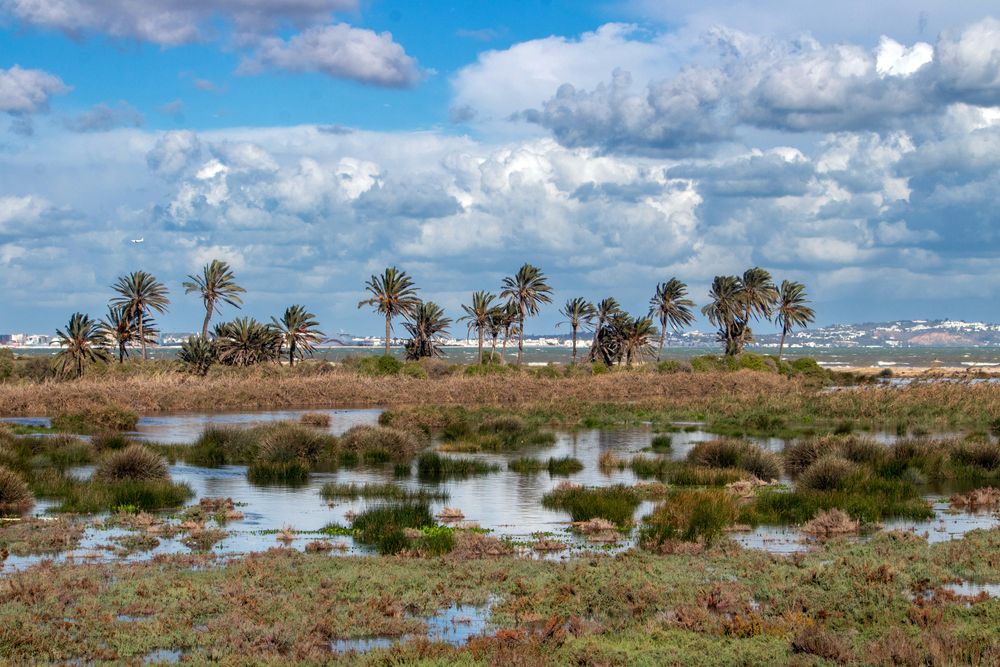 Фотография автора Ismail SAIDI