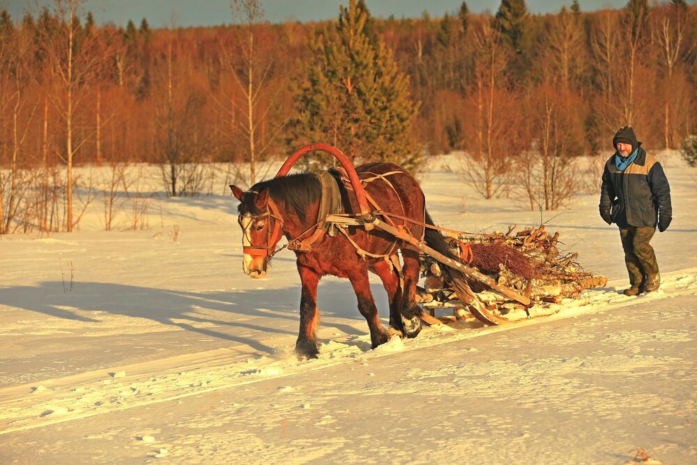 Photograph by Юрий Кетель