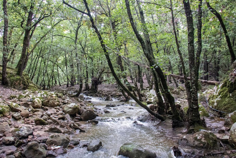 Фотография автора Ismail SAIDI