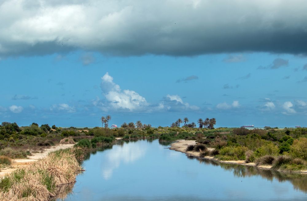 Фотография автора Ismail SAIDI