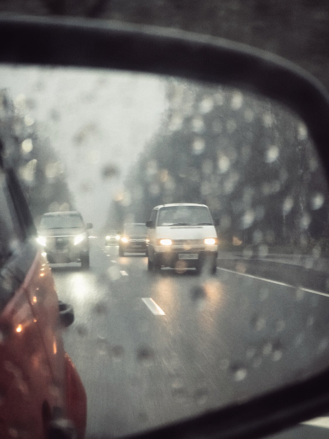 Photo #13306052