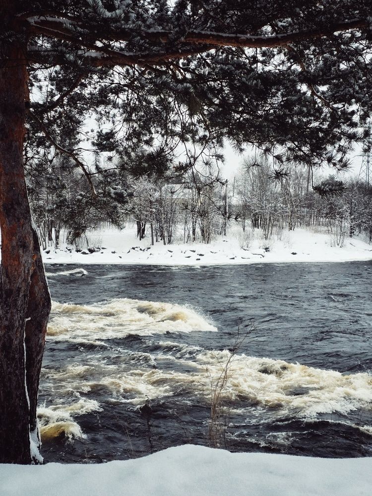 Photograph by Елизавета Ковалева