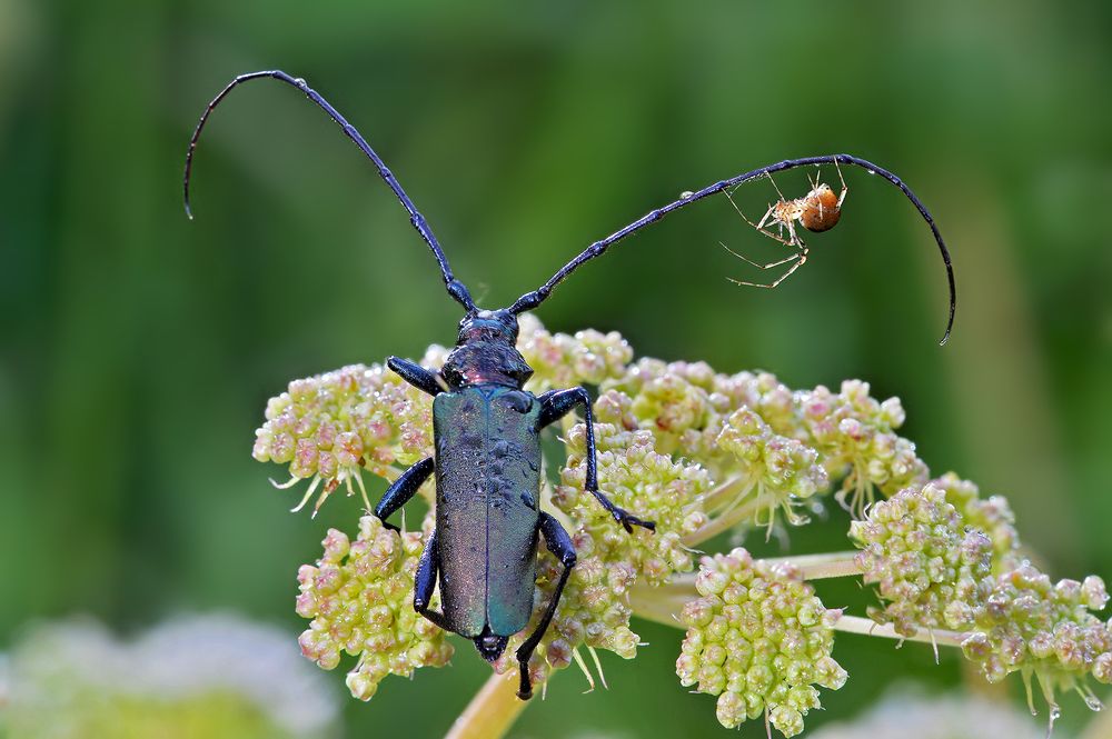 Photograph by Борис Булгаков