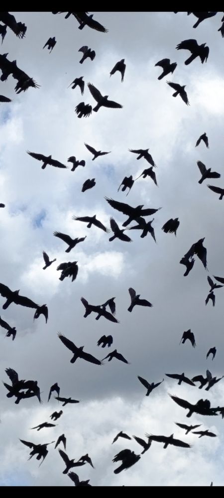 Photograph by Юрий Гордеев